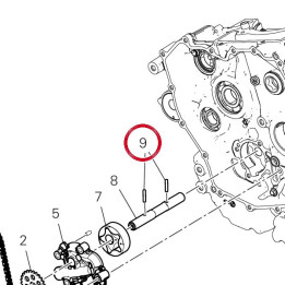 Rouleau 70450123A — réf. 70450123A | Ducati Store