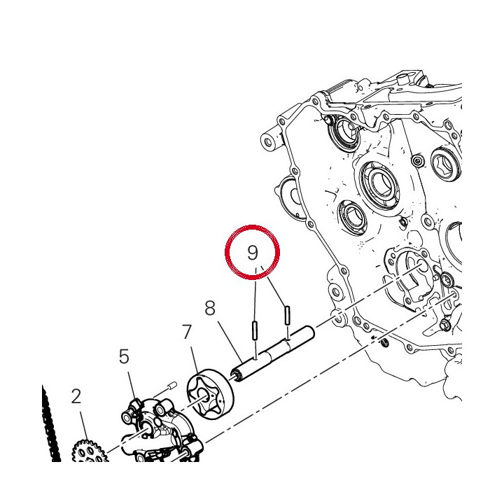 Rouleau 70450123A — réf. 70450123A | Ducati Store