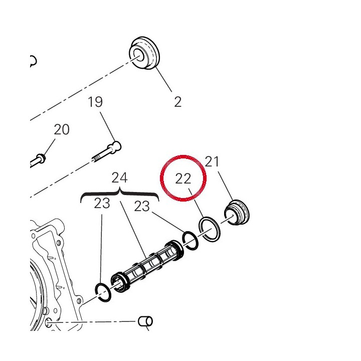 Rosette 85251141A — réf. 85251141A | Ducati Store