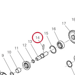 Rouleau 70450101B — réf. 70450101B | Ducati Store