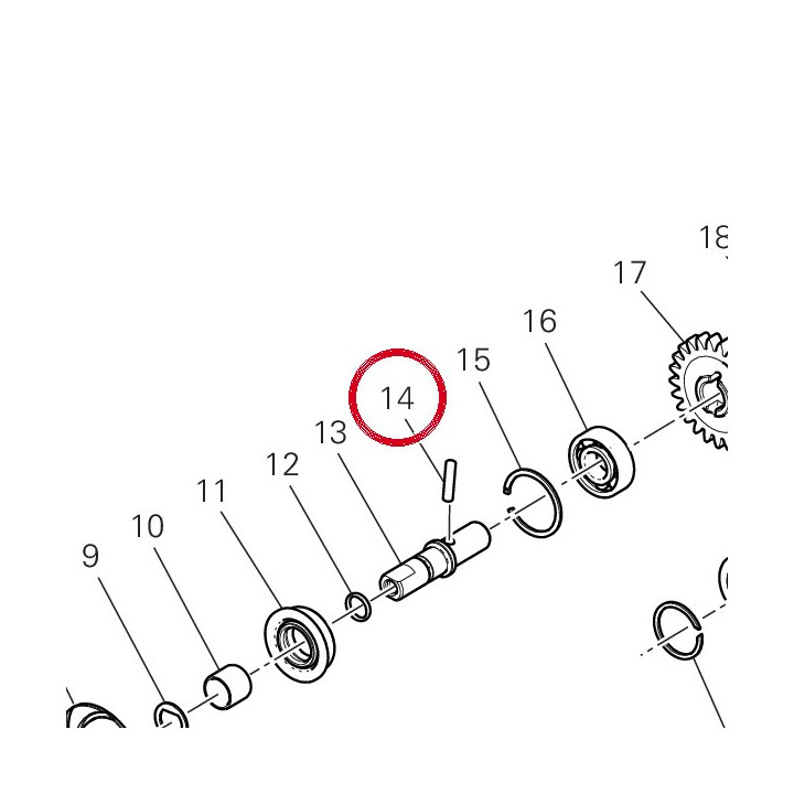 Rouleau 70450101B — réf. 70450101B | Ducati Store