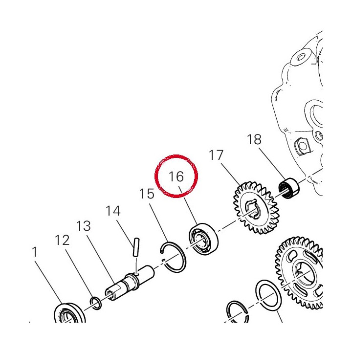Roulement 70242371A — réf. 70242371A | Ducati Store