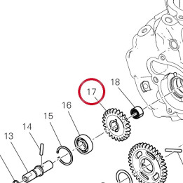Water pump driven gear Z25 — réf. 17411931A | Ducati Store