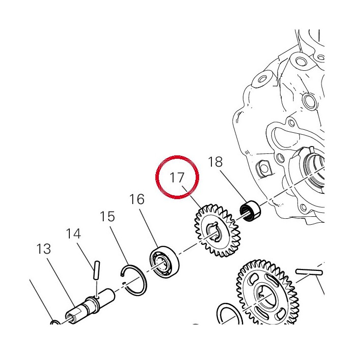 Water pump driven gear Z25 — réf. 17411931A | Ducati Store