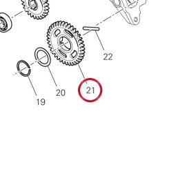 Engrenage pompe 17411921A — réf. 17411921A | Ducati Store