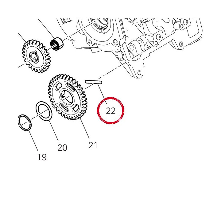 Rouleau 70450151A — réf. 70450151A | Ducati Store