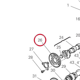 Timing chain driven wheel — réf. 17112801A | Ducati Store