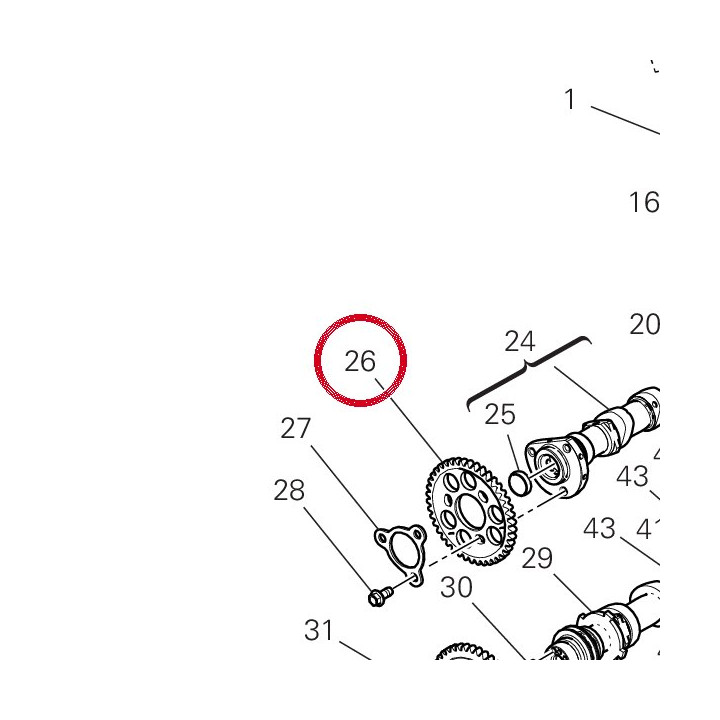 Timing chain driven wheel — réf. 17112801A | Ducati Store
