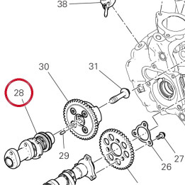 Camshaft intake vert. — réf. 14816631B | Ducati Store