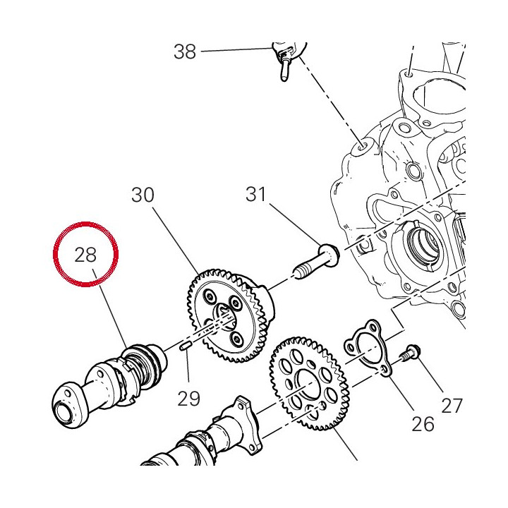 Camshaft intake vert. — réf. 14816631B | Ducati Store