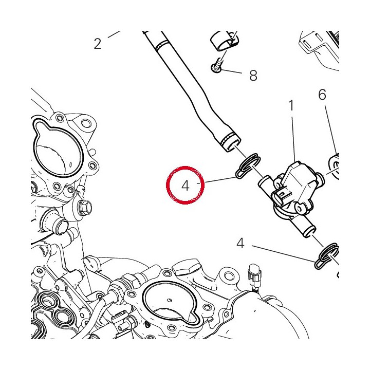 Collier 74142261A — réf. 74142261A | Ducati Store