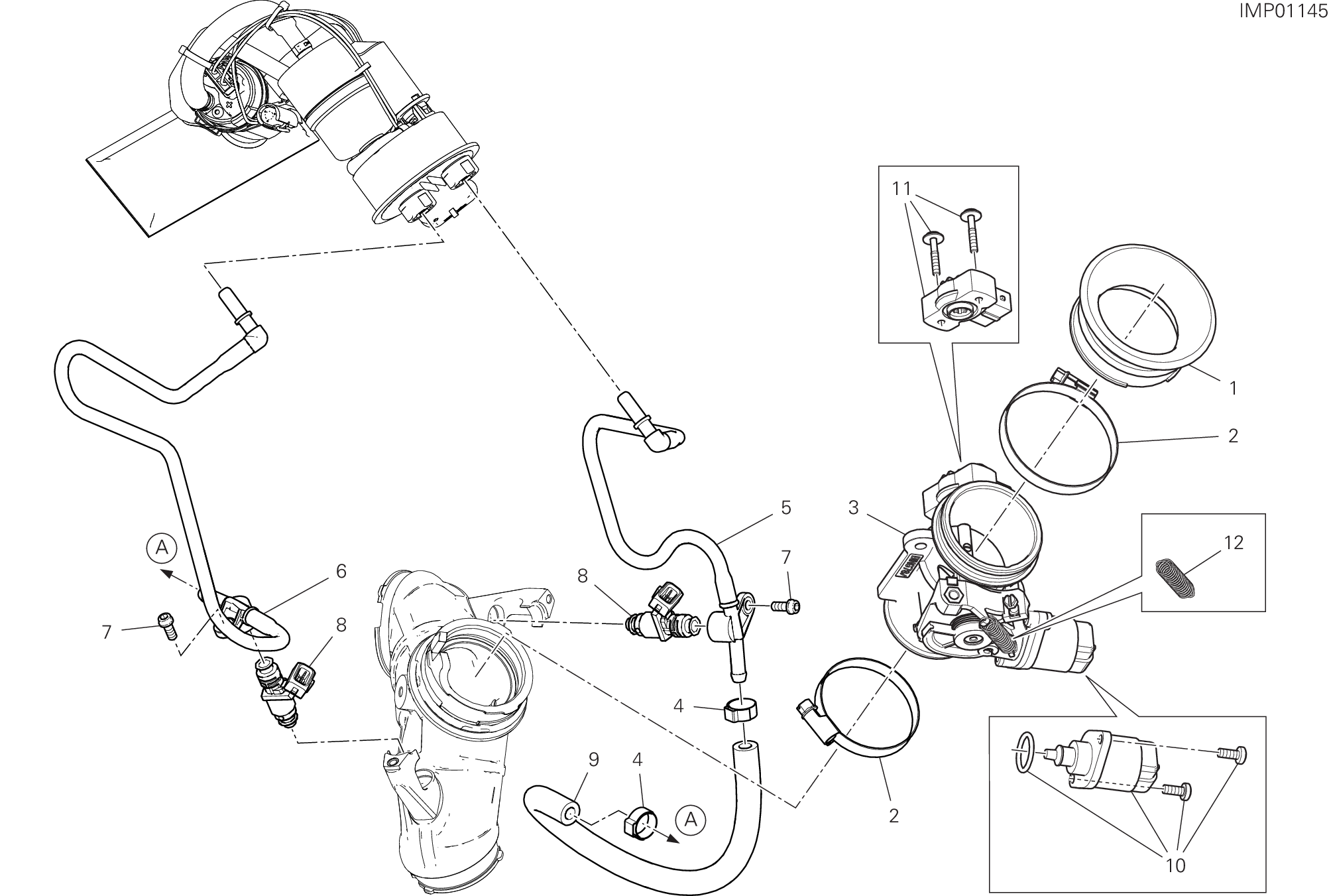 Corps papillon